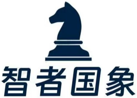 智者国象